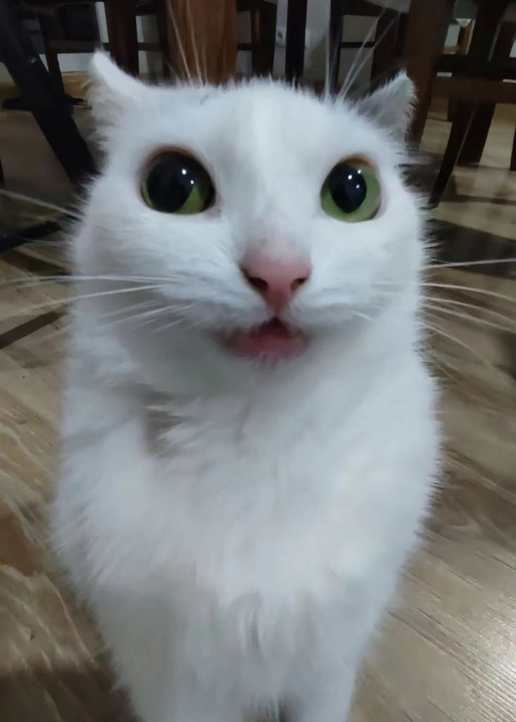 kat23u81f2ou6bc3bibpzav4rqvvfetv.jpg kat23u81f2ou6bc3bibpzav4rqvvfetv.jpg