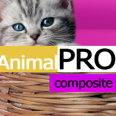 Зоотовары. AnimalPRO - Профессиональный интернет-магазин